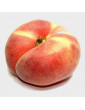 15gl Donut Peach