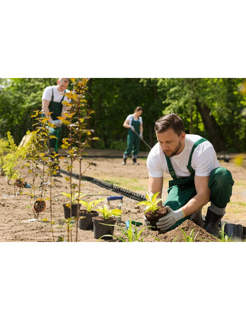 Misc Landscaping Hourly Services