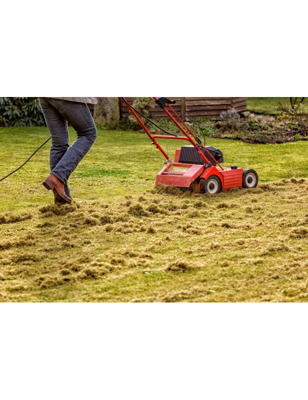 Dethatching Service / Acre