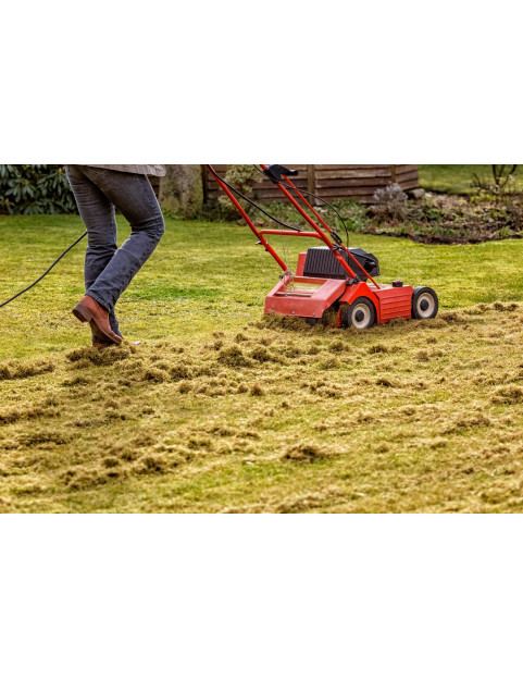 Dethatching Service / Acre