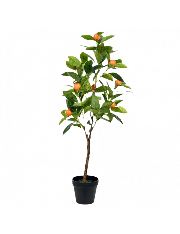 1gl Fukumoto Navel Orange