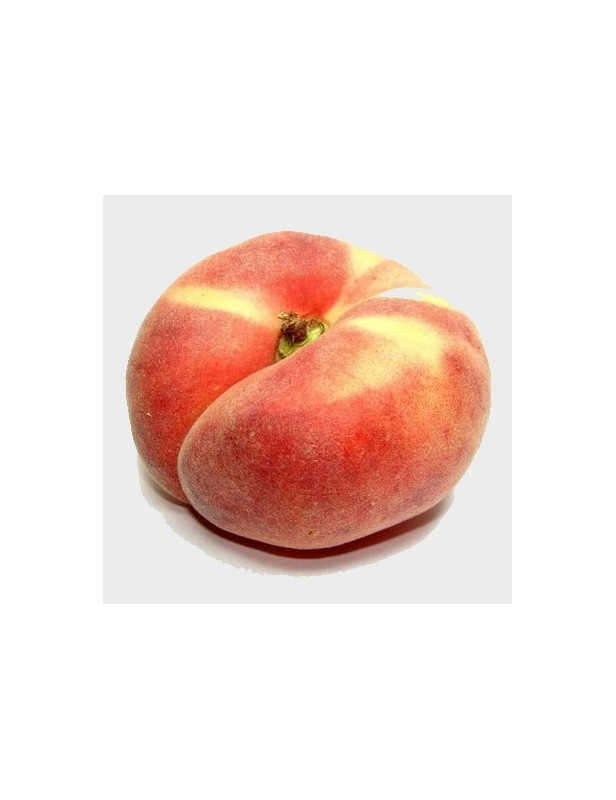 5gl Donut Peach